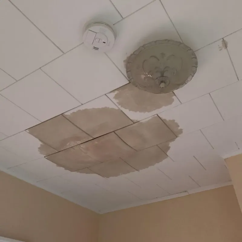 Ceiling Water Damage Repair in Jamestown West, NY