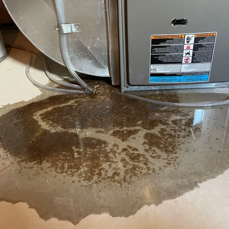 Pipe Burst and Leak Restoration in Jamestown West, NY